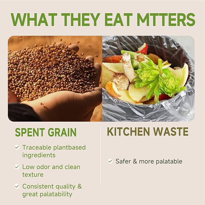 10LB Non-GMO Black Soldier Fly Larvae for Chickens 45% Protein High Calcium Chicken Feed Alternative to Mealworms, Dried BSF Larvae Chicken Treats for Laying Hens Ducks Birds Reptiles