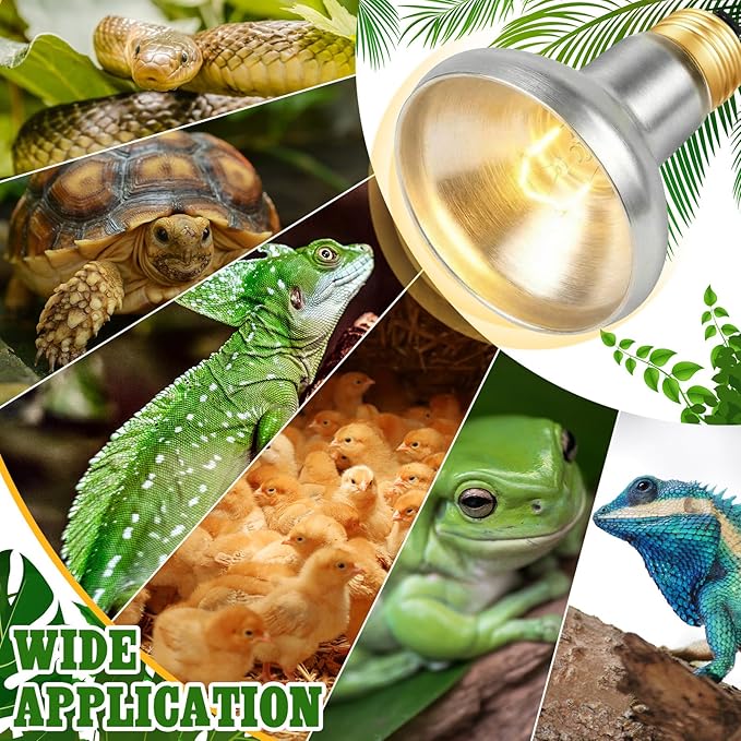 Retisee 4 Pack Basking Light for Reptiles 75 Watt Heat Lamp Bulbs 120V UVA Simulated Natural Sunlight Heating Lamp Bulb Basking Bulb for Bearded Dragon Turtle Chicken