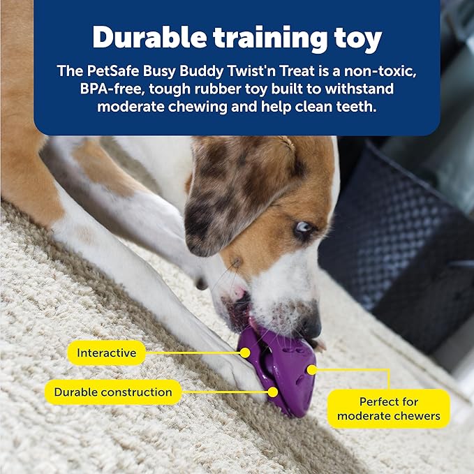PetSafe Busy Buddy Twist 'n Treat Dispensing Dog Toy - Medium
