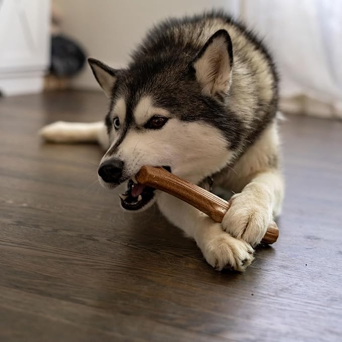Pupstages Super Dogwood Dog Chew Toy, Made in the USA – Real-Wood Blend, Natural Wood Flavor & Texture, Moderate Chewers, Medium, 9.5"