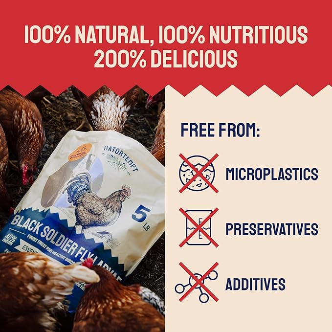 Hatortempt 5lbs Organic Black Soldier Fly Larvae for Chickens - 114X More Calcium Than Mealworms for Chickens - High Protein Worms - Feed Treats for Laying Hens, Quails and Ducks