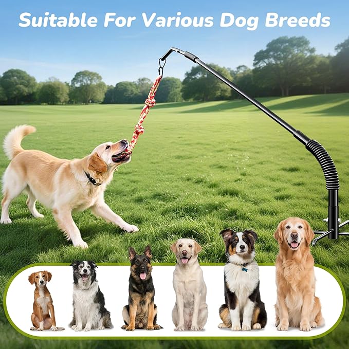 360° Rotation Tether Outdoor Dog Rope Toy, Exercise Tug Of War Dog Toy in Yard/Park/Lawn, Dog Training 3 Rope Toys, 2 Strengthen Spring Poles, Self Play and Interactive Toy for Large Medium Small Dog