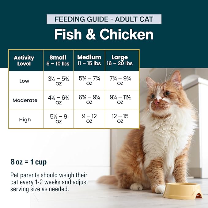 JustFoodForDogs Frozen Fresh Cat Food, Human Grade Wet Cat Food Pate, Fresh Pet Meals and Toppers, Grain Free, No Preservatives, High Protein, Limited Ingredient Gravy, Fish & Chicken 18oz - 7 Pack