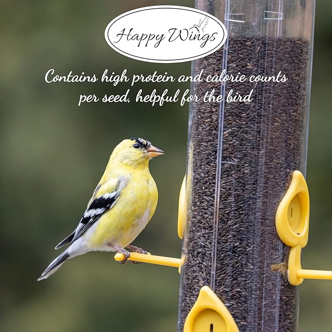 Happy Wings Nyjer/Thistle Seeds Wild Bird Food - 5 Pounds I No Grow Seed I Bird Seed for Wild Birds