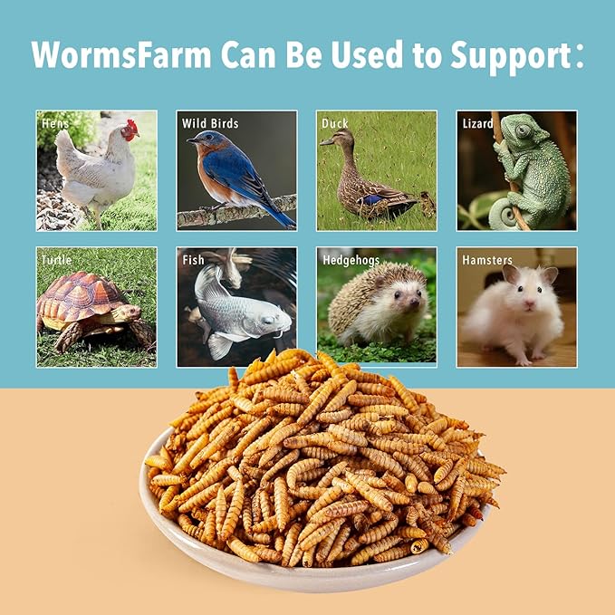 WormsFarm 11LB Dried Black Soldier Fly Larvae,Chicken Feed More Calcium Than Mealworms for Chickens,Laying Hens,Blue Birds