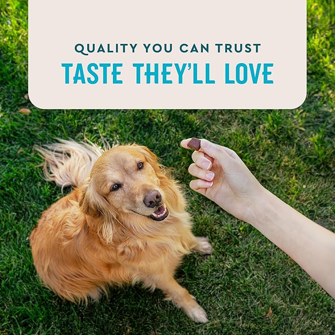 VetIQ Glucosamine Hip & Joint Supplement for Dogs, 90 Soft Chews, Joint Support Supplement with MSM and Krill, Dog Health Supplies Large & Small Breed, Chicken Flavored Chewables