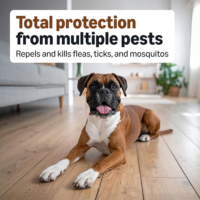 Amazon Basics Preventative Flea, Tick & Mosquito Topical Treatment for Large Dogs (21-55 Pounds), Kills Fleas, 4 Count, Packaging May Vary