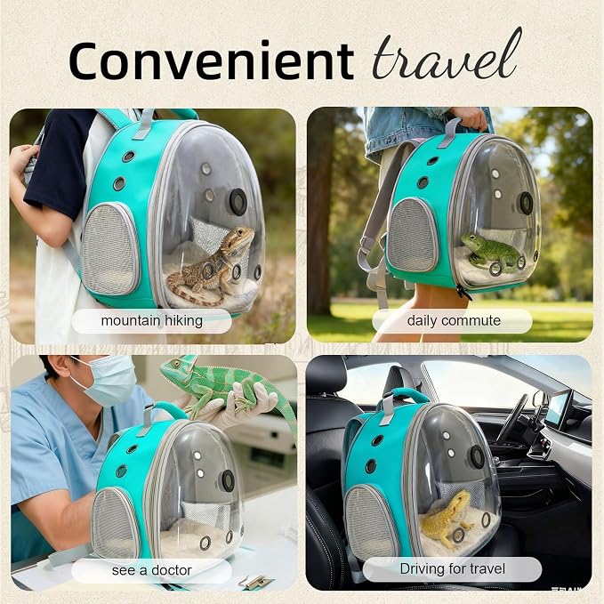 Bearded Dragon Travel Backpack Carrier with Reptile Thermometer and Humidity Gauge Lizard Travel Cage Space Capsule Clear Bubble Window Astronaut Reptile Bag for Ball Python (Green, Backpack+I LSH)