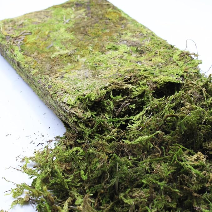 DoubleWood Natural Forest Moss for Small Pets, 5.2 oz Artificial Moss, Decorative Bedding and Nesting Material for Hamsters, Gerbils, Mice, Degus or Other Small Animal (5.2 oz)