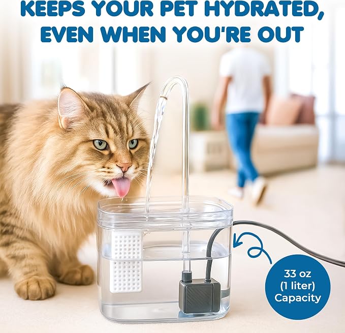SunGrow Automatic Flowing Hydration with Filter, Silent USB Pump Cat Water Fountain, Transparent Feeder Bowl for Indoor Felines, Ferrets, and Small Animals (6" x 5" x 5")