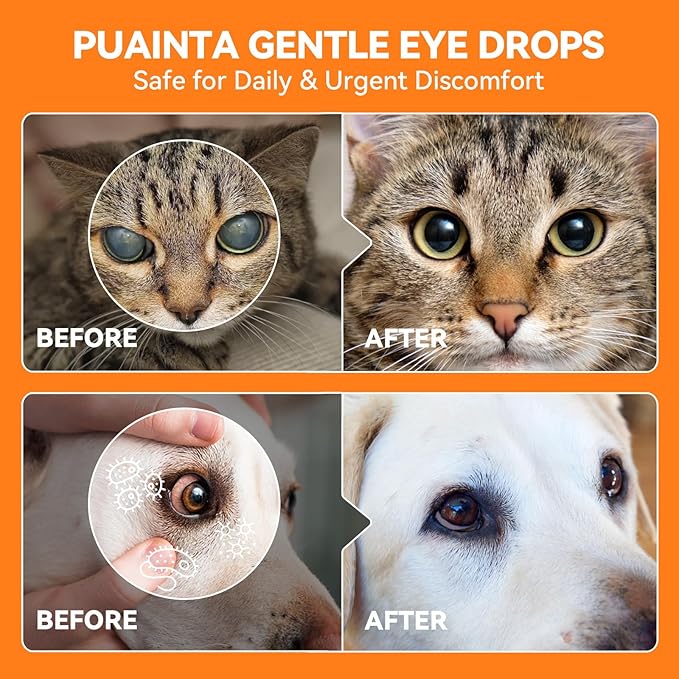 PUAINTA Dog Eye Drops, Eye Infection Treatment, Eye Drops for Dogs & Cats, Soothe Irritation Pink, Dry Eyes, Itchy Eye Wash Tear Stains, Debris Cleaner, Natural Daily Eye Care, Safe for Pets (8oz)