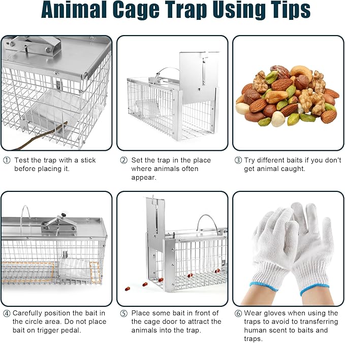 Live Animal Cage Trap, Heavy Duty Humane Cage Trap for Squirrels, Chipmunks, Rabbits, and Small Rodents, Safely Catch & Release - 1 Trap
