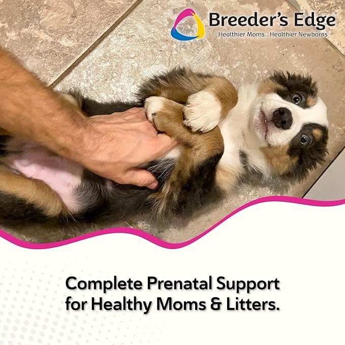 Breeder's Edge Oxy Mate Dog Prenatal Vitamins, Comprehensive Supplement for Pregnant Dogs and Cats Enriched with Essential Nutrients for Healthy Moms & Litters, Soft Chews - 60ct Medium & Large Dog