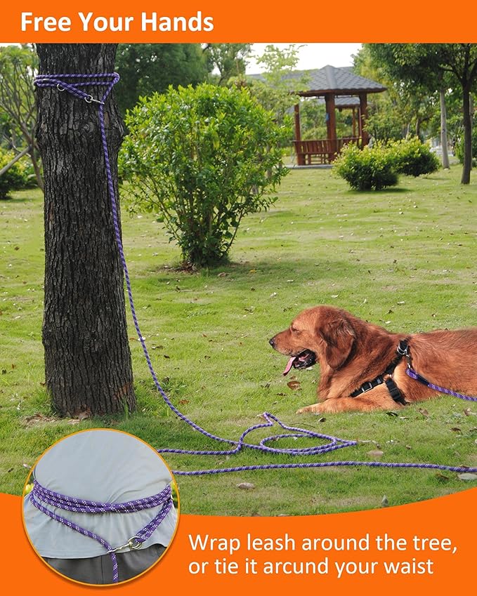 Long Dog Leash for Dog Training 20FT, Heavy Duty Dog Lead for Large Medium Small Dogs Outside Walking, Playing, Camping, or Yard, Purple