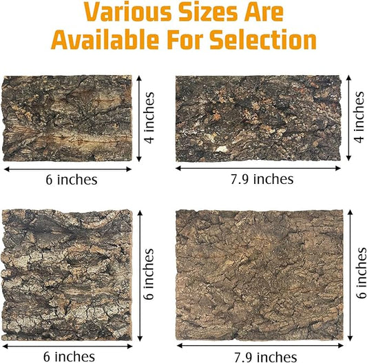 Natural Reptile Cork Bark Bedding Bearded Dragon Climbing Wall Mat 6PCS Cork Wood for Terrarium Background Decor Crested Gecko Tank Accessories for Lizard Snake Chameleon Tortoise Frog