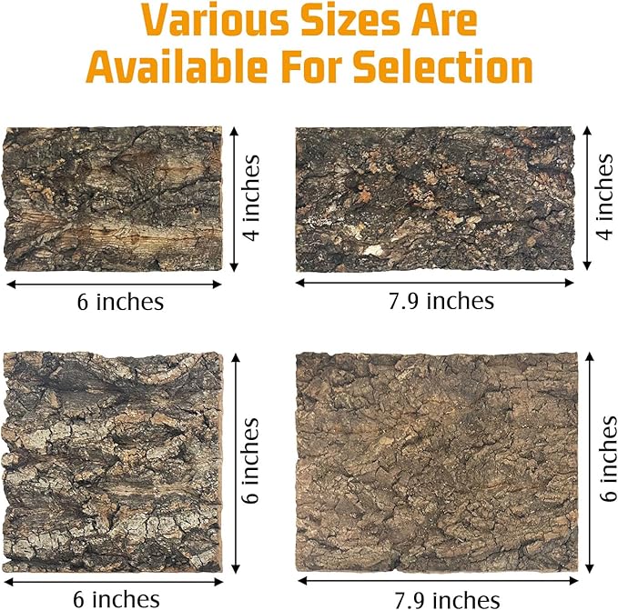 Natural Reptile Cork Bark Bedding Bearded Dragon Climbing Wall Mat 6PCS Cork Wood for Terrarium Background Decor Crested Gecko Tank Accessories for Lizard Snake Chameleon Tortoise Frog