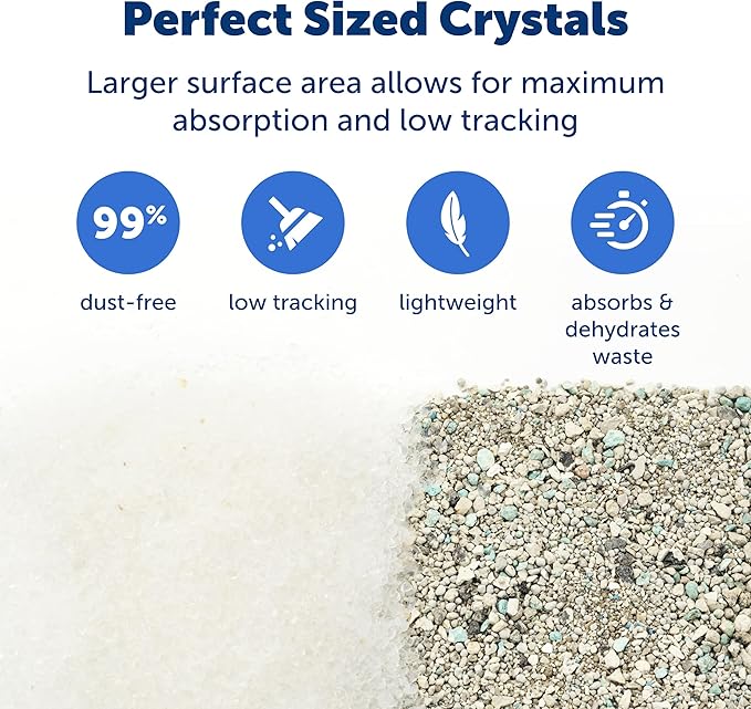 PetSafe ScoopFree Premium Crystal Cat Litter - Outperforms Clay Litter - Refill Packs - Reusable Tray Compatible - Fragrance Free - 4.3 lb Bags - 2 Pack