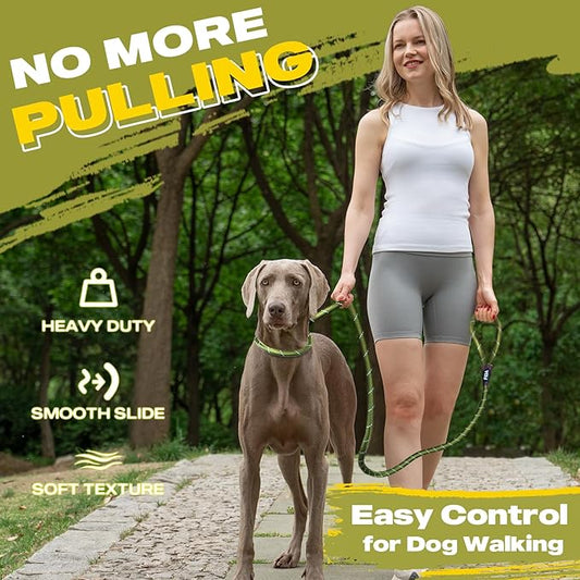 Fida Durable Slip Lead Dog Leash Bulk Pack of 5, Heavy Duty 1/2" x 6 FT Comfortable Strong Rope Slip Lead for Large, Medium & Small Dogs No Pulling Pet Training Leash with Highly Reflective (Green)