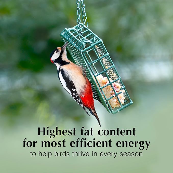 C&S Peanut Suet Treat, Suet Cakes for Wild Birds Including Nuthatches, Woodpeckers and Chickadees, Pack of 8