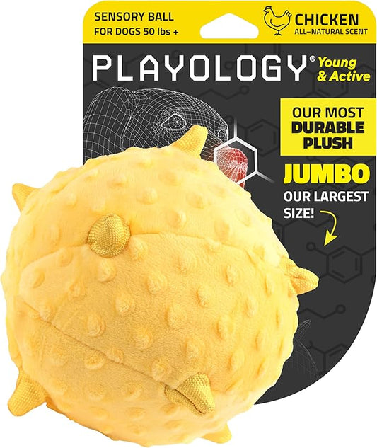 Playology Dog Toys | Plush Sensory Ball for Large Puppies and Young Dogs | Chicken Scented Jumbo Dog Ball Chew Toy | Teething Puppy Essentials