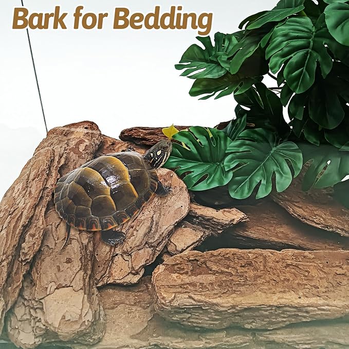 BNOSDM Large Reptile Pine Bark Substrate Tortoise Bed for Habitat Natural Flat Pine Wooden Bulk Terrarium Reusable Bark Pieces for Leopard Gecko, Spider, Chameleon, Ball Python, Tree Frog