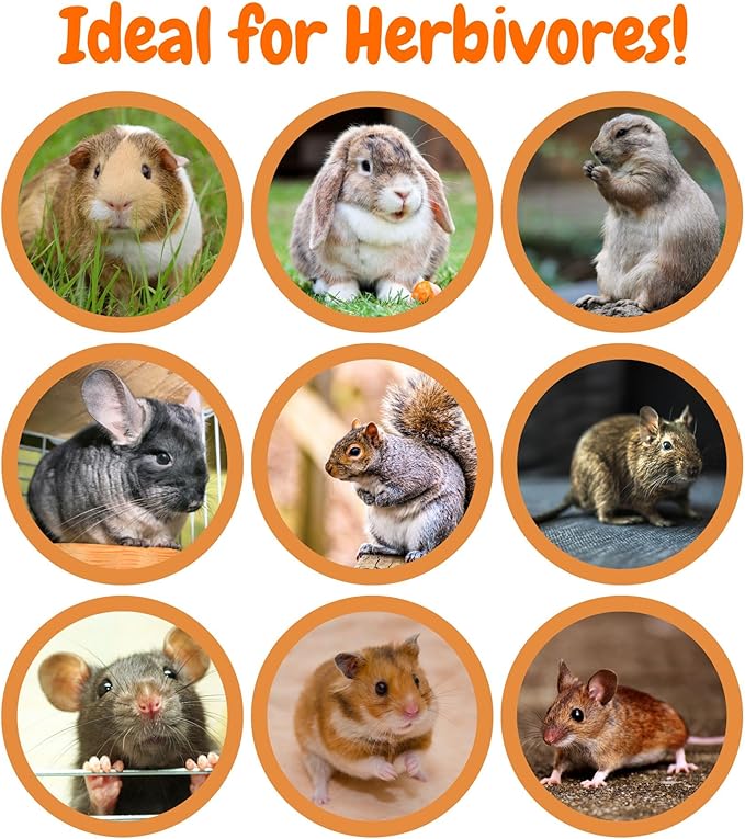 Exotic Nutrition Crunchy Swirls - Fun & Unique Timothy Hay Treat - Rabbits, Guinea Pigs, Hamsters, Chinchillas, Prairie Dogs, Degus, Rats, Squirrels & Other Herbivores (4.7 oz.)