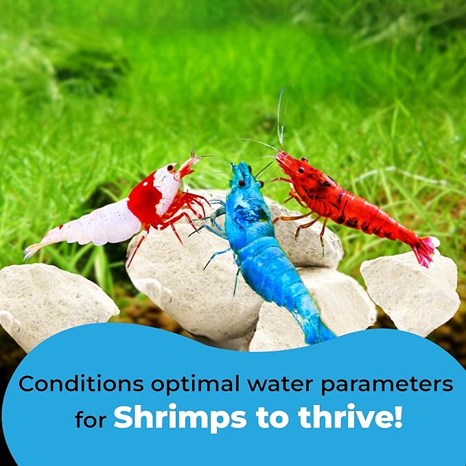 JOR Water Conditioner Calcium Rocks for Baby Shrimps, Isopods, and Crayfish, Enhances Pet Color, Provides Hideout, Breeding Spot, Beneficial for Shedding, Rustic Decor for Big and Nano Tanks, 3.5 oz.