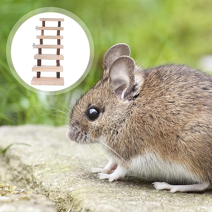 NUOBESTY Small Animal Wooden Ladder Platform Cage Bridge Guinea Pig Habitat Climbing Toy for Rabbit Hamster Bunny Squirrel Hedgehog Chinchilla Rat Mouse