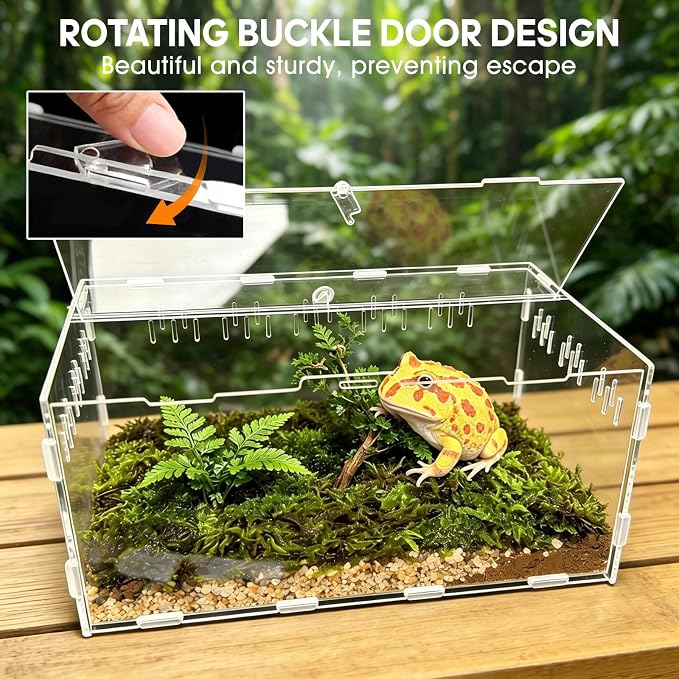 Jumping Spider Enclosure, Insect Terrarium, Bug Cage, Acrylic Terrarium for Tarantula, Snail, Praying Mantis, Frog, and Small Reptiles, Includes Tweezer and Bowl, (11.8" x 7.8" x 5.9")