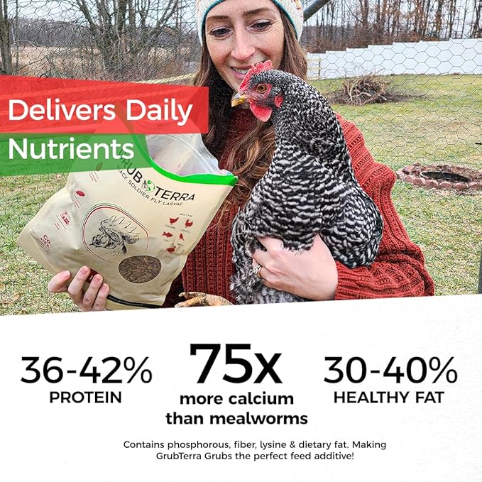 GrubTerra Black Soldier Fly Larvae for Chickens – Dried BSFL Poultry Treat, High Protein Calcium Feed Supplement for Laying Hens, Backyard Chickens, Sourced from Mexico, Not from China - 10LB