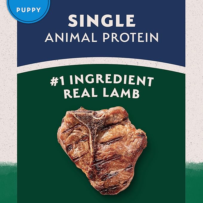 Natural Balance Limited Ingredient Puppy Dry Dog Food with Healthy Grains, Lamb & Brown Rice Recipe, 24 Pound (Pack of 1)