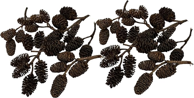 Alder & Casuarina Cones Betta Shrimp Tank Promotes Natural Habitat, Breeding, Tannin Producing Improves Immunity, Easy to Use, by Awesome Aquatic (50 Pack Alder)
