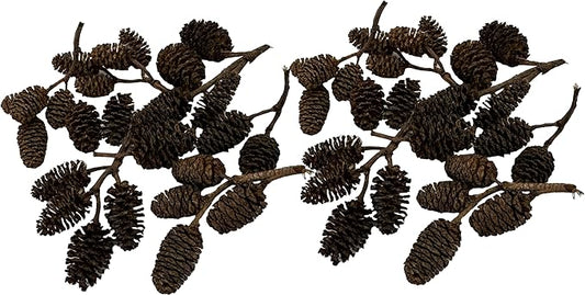 Alder & Casuarina Cones Betta Shrimp Tank Promotes Natural Habitat, Breeding, Tannin Producing Improves Immunity, Easy to Use, by Awesome Aquatic (50 Pack Alder)