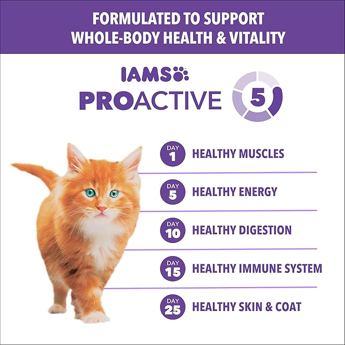 IAMS Proactive Health Healthy Kitten Dry Cat Food Salmon Recipe, 7 lb. Bag