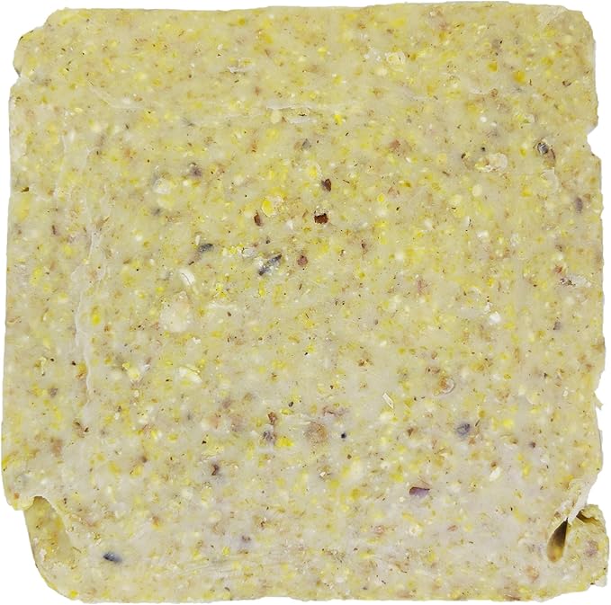 ST. ALBANS BAY SUET PLUS Suet Cake 15 Pack | 11 oz. Suet Cakes for Wild Birds| (Mega Mix)