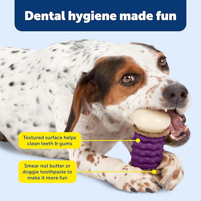 PetSafe Busy Buddy Nobbly Nubbly Treat Holding Dog Toy Strong Chewers Large