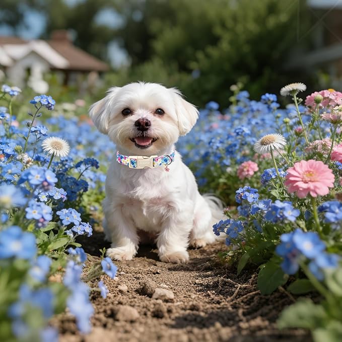 Lionet Paws Floral Dog Collar- Cute Spring Wildflowers Daisy Forget Me Not Dog Collars with Plastic Buckle,Light Adjustable Dog Collars for Medium Large Dogs