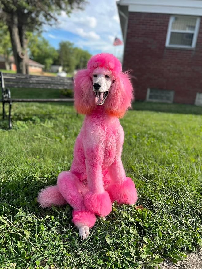 Crazy Liberty Magic Color Shampoos (Pink) - Semi-Permanent Pet Hair Coloring, Safe and Gentle Ammonia and Paraben Free, Non-Toxic for All Pets