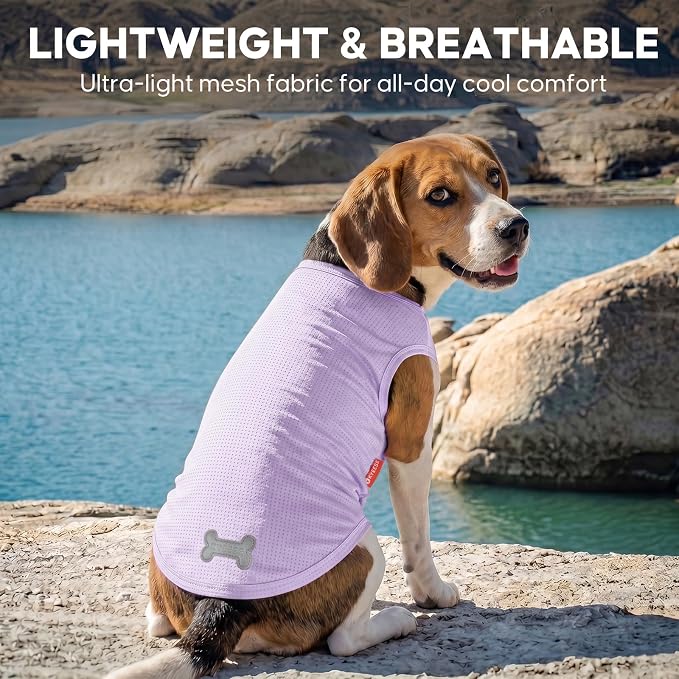 KYEESE 2Pack Dog Shirt, Lightweight Sun Protection Dog T Shirts for Small Dogs Boy Girl, Breathable Mesh Tank Top Sleeveless Pet Reflective Vest, Soft Summer Dogs Clothes, Dinosaur+Purple, M