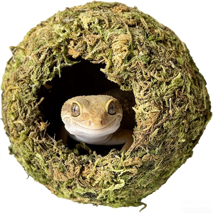 Reptile Hideout Cave - Natural Coconut Moss Terrarium Decor & Snake Hide - Leopard Gecko Hide & Ball Python Hide - Reptile Tank Accessories & Habitat Hideouts for Bearded Dragon