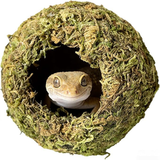 Reptile Hideout Cave - Natural Coconut Moss Terrarium Decor & Snake Hide - Leopard Gecko Hide & Ball Python Hide - Reptile Tank Accessories & Habitat Hideouts for Bearded Dragon