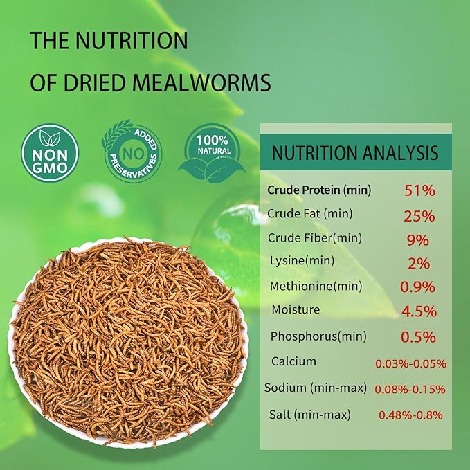 Dried Mealworms 20LB Pure Natural Non-GMO Mealworms for Chickens High Protein Chickens Feed Meal Worms for Laying Hens Wild Birds