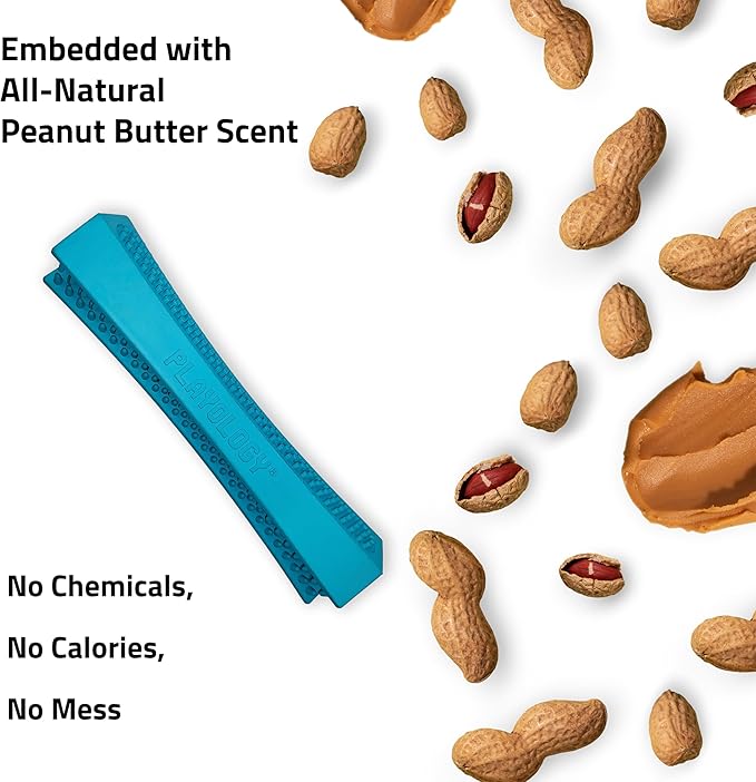 Playology Dog Toys | Dental Chew Stick for Senior Dogs | Peanut Butter Scented Medium Toy | Dog Chew Toy for Healthy Teeth and Gums