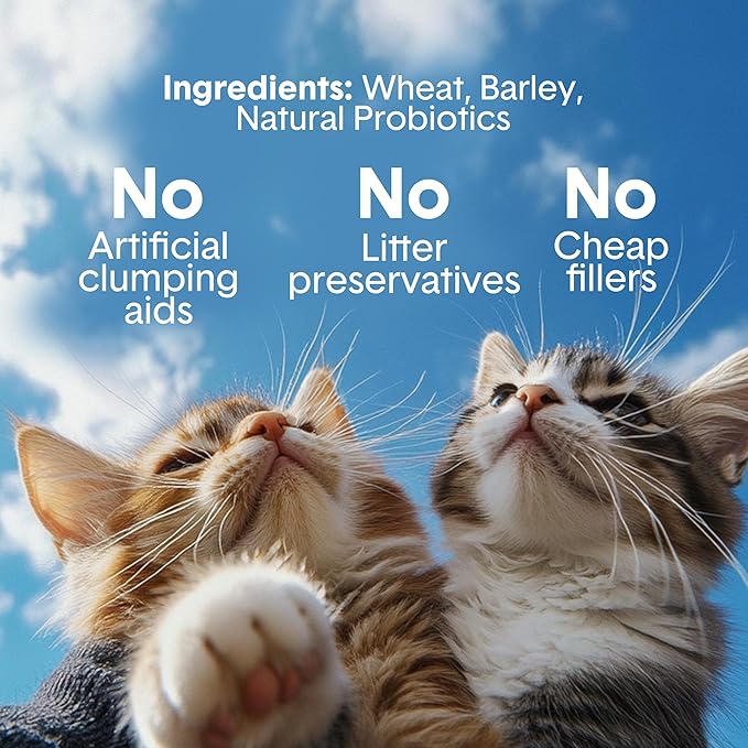 Boxie Extra Strength Cat Litter, Lightweight 35-Day Odor Control, Clumping, 11.5lb