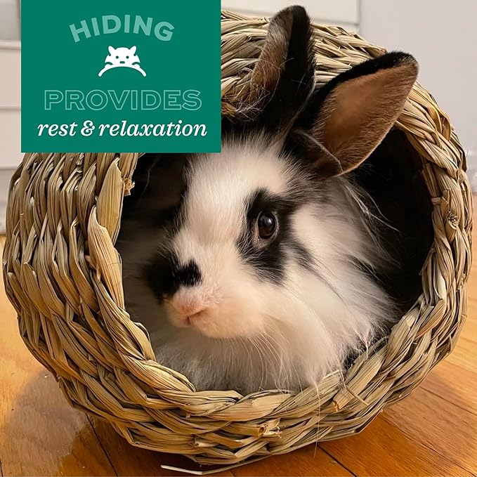 Oxbow Timothy Hay Mat – Edible Habitat Accessory for Rabbits, Guinea Pigs, Chinchillas & Rats – Hand-Woven Natural Mat and Chew, Cage Enrichment for Dental Health, Comfort & Instinctual Play, Large