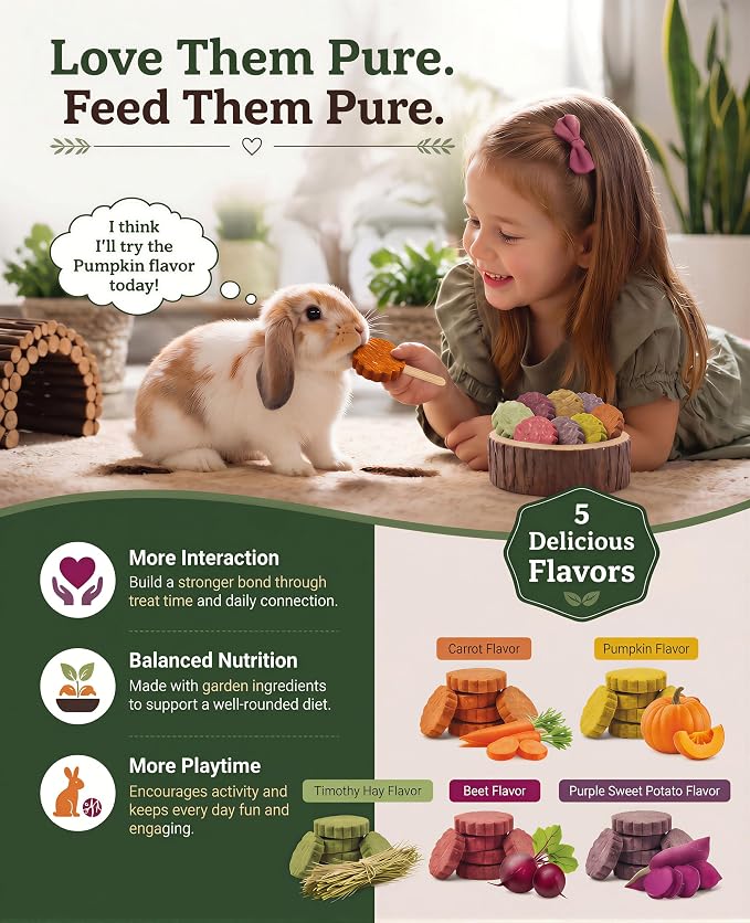 C-LIGHT Guinea Pig Chew Toys, Rotating Spinner + 8 Pcs Timothy Hay Rabbit Chew for Teeth Grind & Digestion, Rust-Proof Aluminum Toy, for Rabbit, Bunny, Chinchilla, Hamster Dental Health (Sliver)