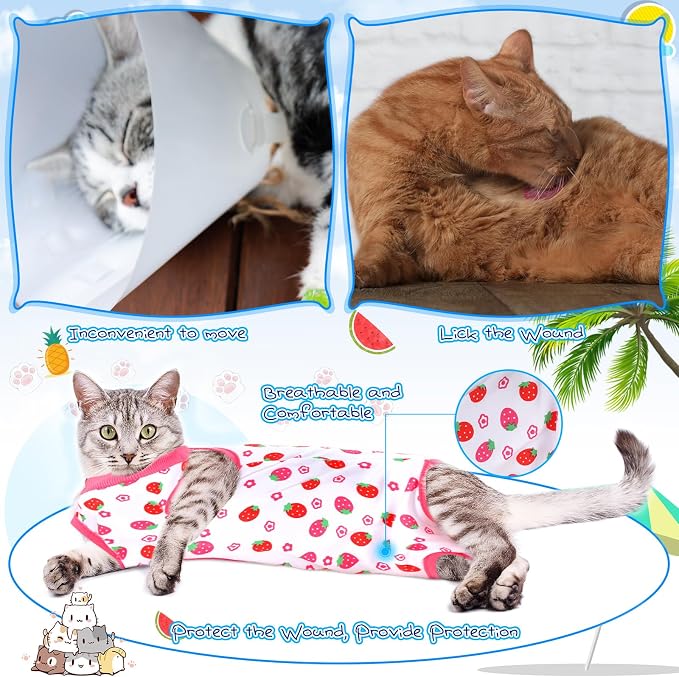 Kacctyen 6 Set Cat Recovery Suit After Surgery Female and Male Cat Kitten Surgery Suit E Collar Alternative Pajama Kitty Clothes for Spay Abdominal Skin Anti Licking(Fruit,Medium)