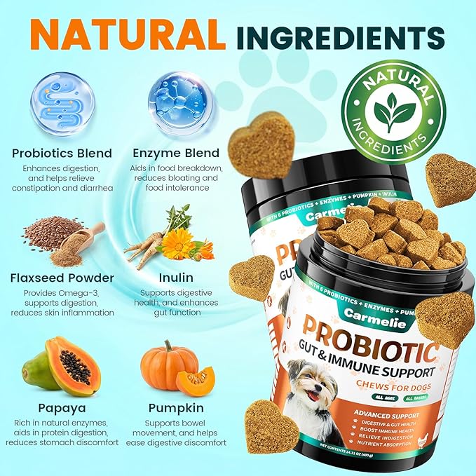 Probiotics for Dogs, Dog Probiotics for Yeast, Itchy Skin and Itchy Ears, Allergies, Immunity, Dog Gut Health Probiotic for Digestive Enzymes & Prebiotics for Diarrhea & Gas Relief (Chicken, 200 Chew)