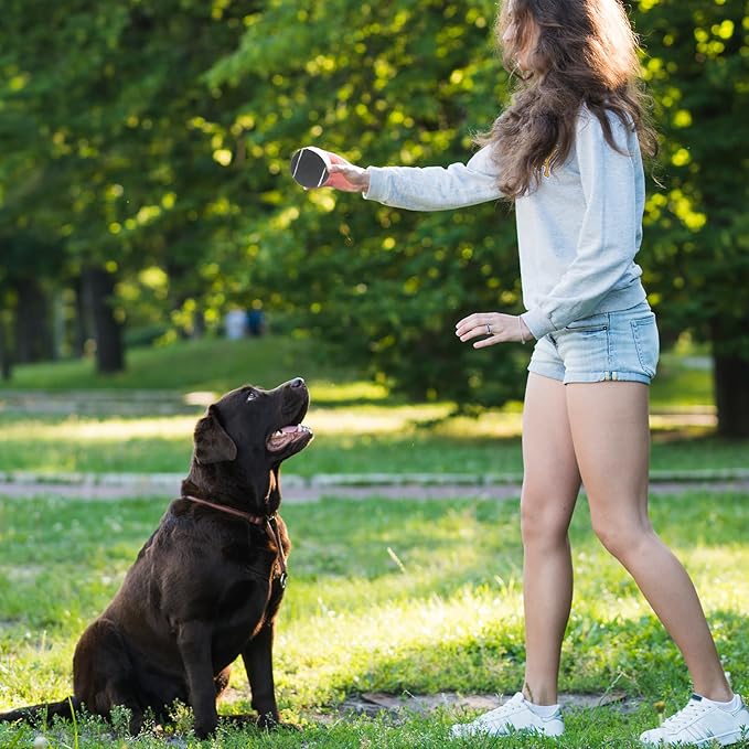 INSUM Squeaky Dog Balls - Squeaky Tennis Balls for Dogs, Black | Medium - 2.5'', 20Pack