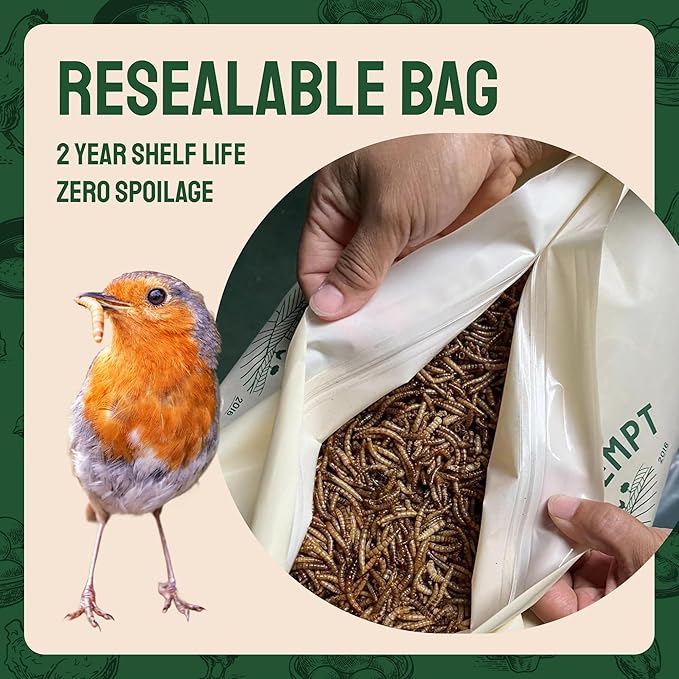 Hatortempt Dried Mealworms for Wild Birds - 1.8 Lb Bag - Non-GMO Bluebird Food - High-Protein Meal Worms for Blue Birds, Robins and Chickadees